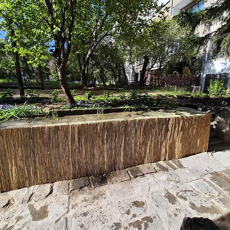 The Vertex דירה סופיה